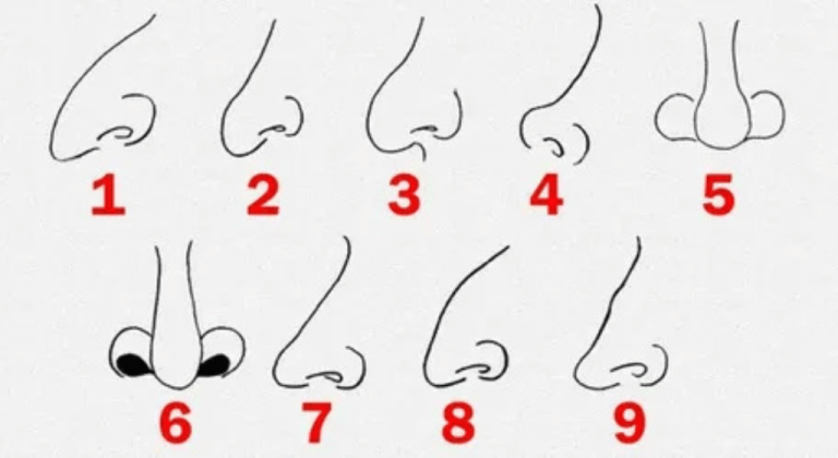 What The Shape Of Your Nose Tells About Your Personality