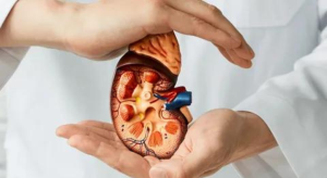 Read more about the article If your kidneys are in danger, your body will give you these seven signs