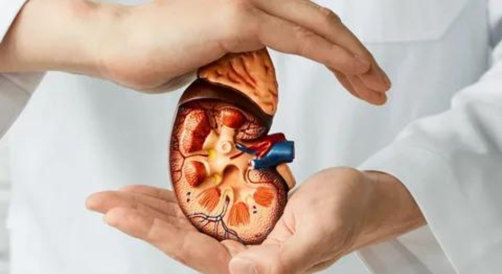 If your kidneys are in danger, your body will give you these seven signs